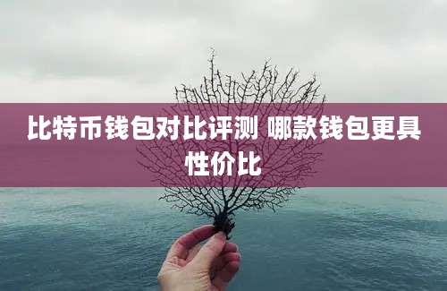 比特币钱包对比评测 哪款钱包更具性价比