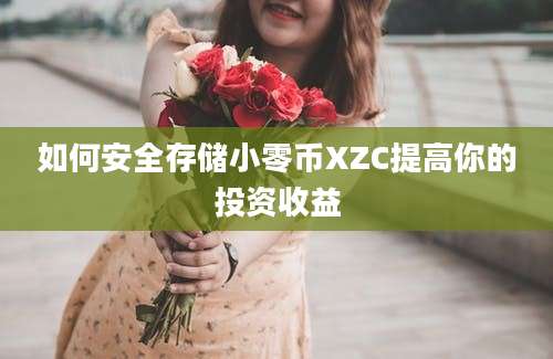 如何安全存储小零币XZC提高你的投资收益