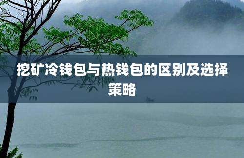 挖矿冷钱包与热钱包的区别及选择策略