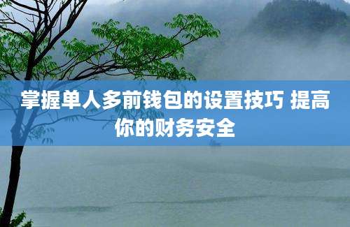 掌握单人多前钱包的设置技巧 提高你的财务安全