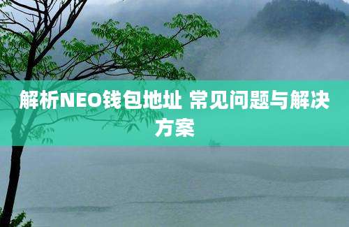 解析NEO钱包地址 常见问题与解决方案