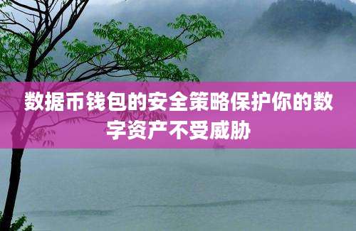 数据币钱包的安全策略保护你的数字资产不受威胁