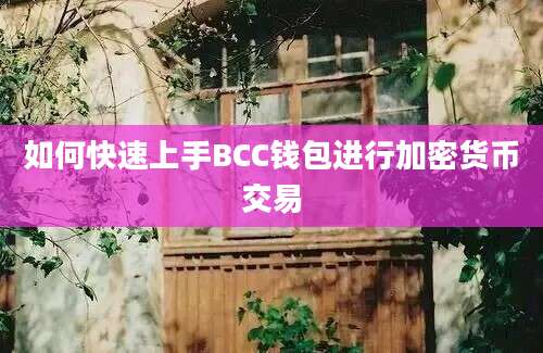 如何快速上手BCC钱包进行加密货币交易