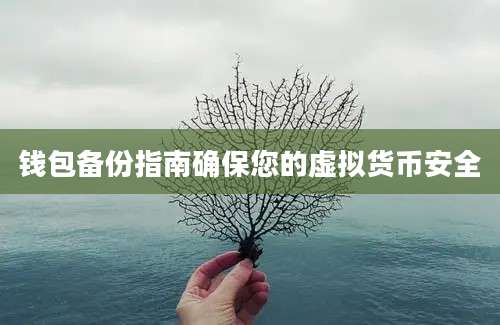 钱包备份指南确保您的虚拟货币安全