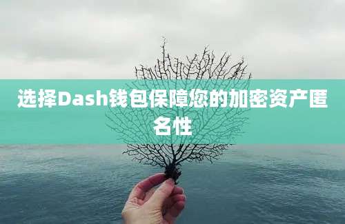 选择Dash钱包保障您的加密资产匿名性