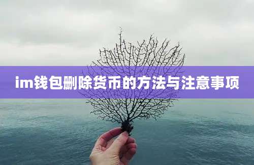 im钱包删除货币的方法与注意事项