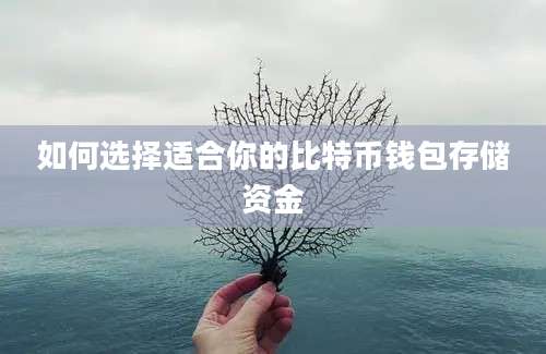 如何选择适合你的比特币钱包存储资金