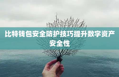 比特钱包安全防护技巧提升数字资产安全性