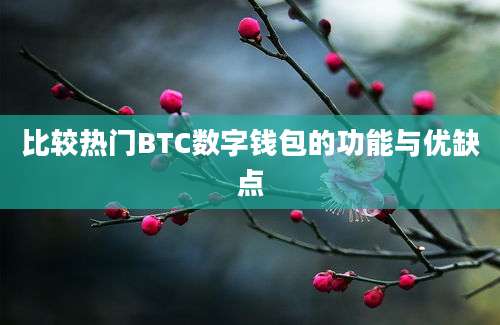 比较热门BTC数字钱包的功能与优缺点