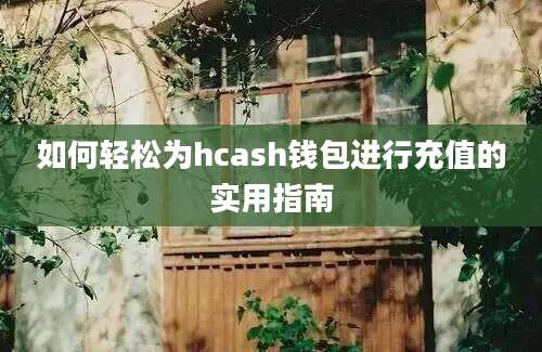 如何轻松为hcash钱包进行充值的实用指南