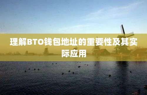 理解BTO钱包地址的重要性及其实际应用