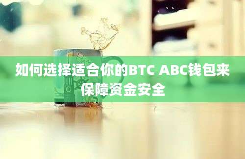 如何选择适合你的BTC ABC钱包来保障资金安全