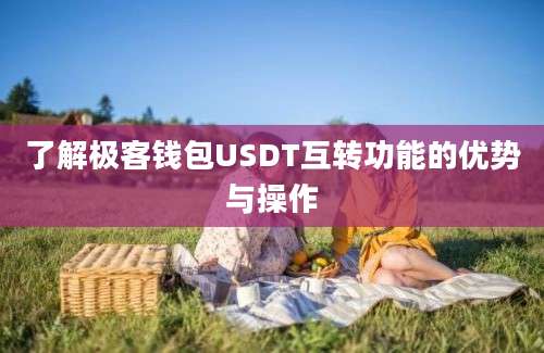 了解极客钱包USDT互转功能的优势与操作