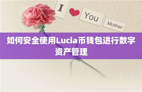 如何安全使用Lucia币钱包进行数字资产管理