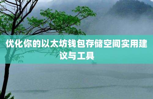 优化你的以太坊钱包存储空间实用建议与工具