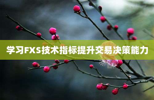 学习FXS技术指标提升交易决策能力