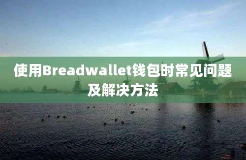 使用Breadwallet钱包时常见问题及解决方法