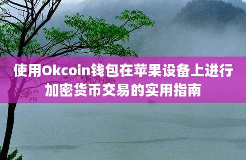 使用Okcoin钱包在苹果设备上进行加密货币交易的实用指南