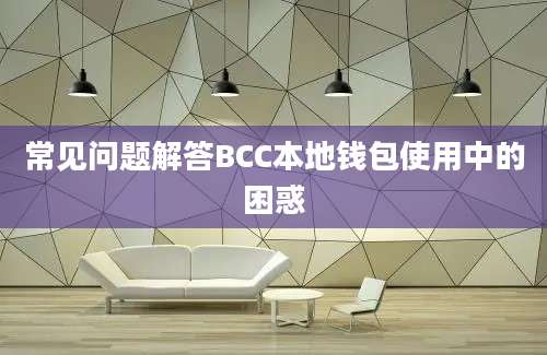 常见问题解答BCC本地钱包使用中的困惑