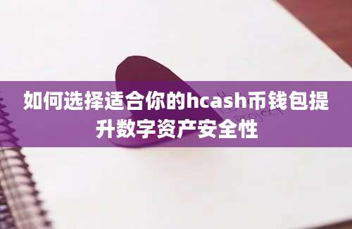 如何选择适合你的hcash币钱包提升数字资产安全性