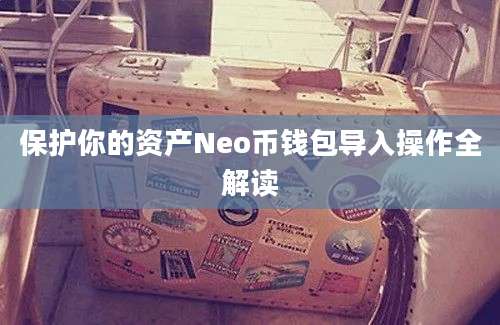 保护你的资产Neo币钱包导入操作全解读