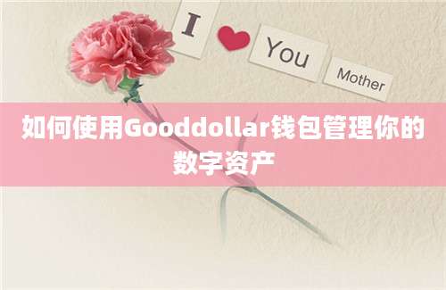 如何使用Gooddollar钱包管理你的数字资产