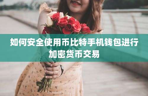 如何安全使用币比特手机钱包进行加密货币交易