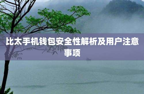 比太手机钱包安全性解析及用户注意事项