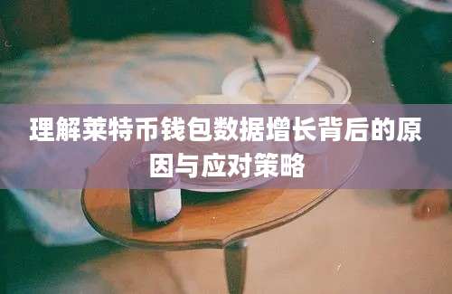 理解莱特币钱包数据增长背后的原因与应对策略