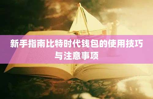 新手指南比特时代钱包的使用技巧与注意事项