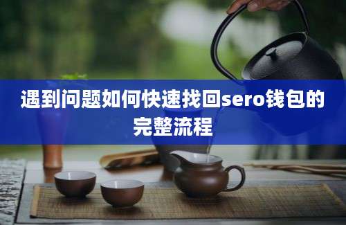 遇到问题如何快速找回sero钱包的完整流程