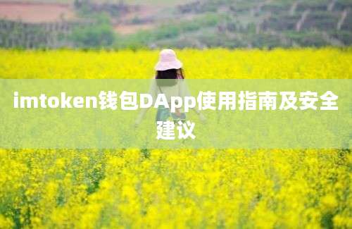 imtoken钱包DApp使用指南及安全建议