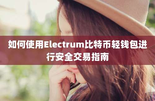 如何使用Electrum比特币轻钱包进行安全交易指南