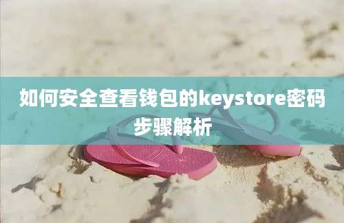 如何安全查看钱包的keystore密码步骤解析