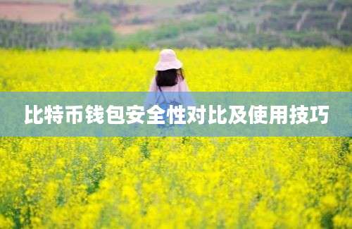 比特币钱包安全性对比及使用技巧