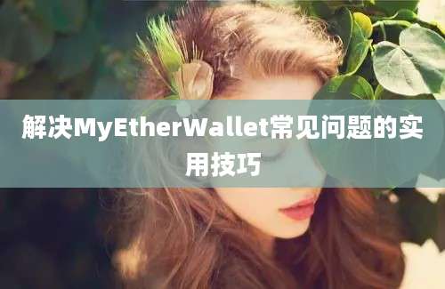 解决MyEtherWallet常见问题的实用技巧