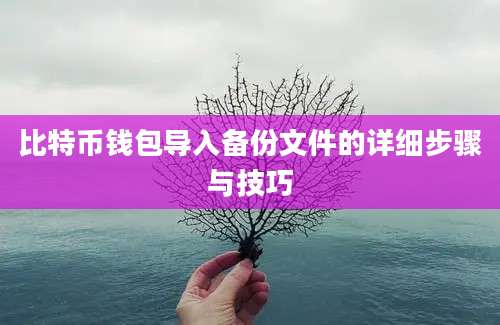 比特币钱包导入备份文件的详细步骤与技巧